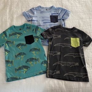 Tea Collection - Boys Shirts SZ 6